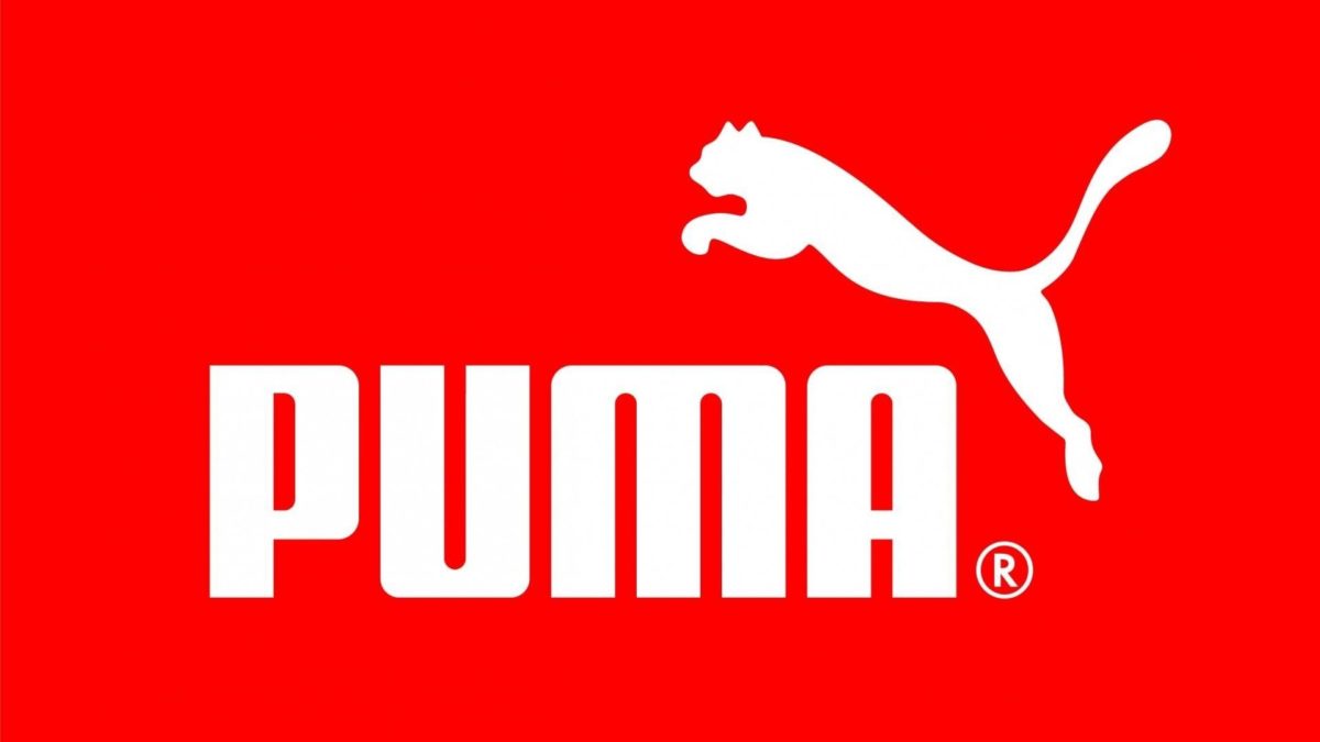 Puma Wallpaper 16477 1920×1080 px