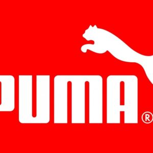 download Puma Wallpaper 16477 1920×1080 px