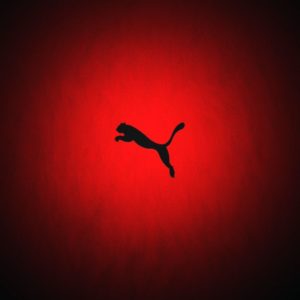 download HD Puma Wallpapers | Puma Best Pictures Collection