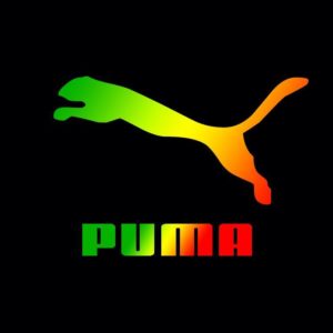download Puma Wallpaper HD – WallpaperSafari