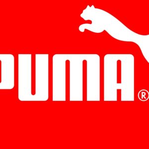 download 4K Ultra HD Puma Wallpapers HD, Desktop Backgrounds 3840×2160 …