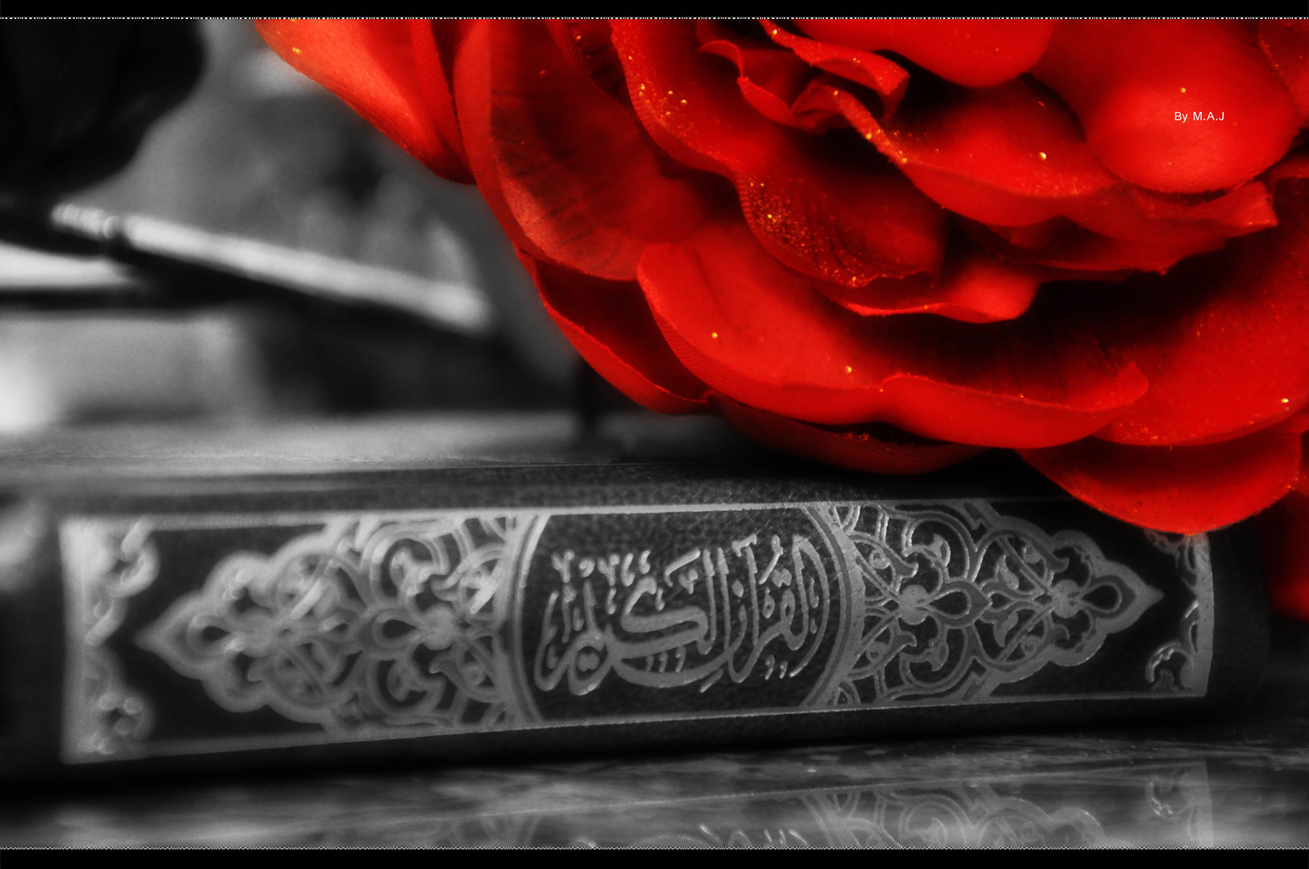 Images For Al Quran Wallpaper