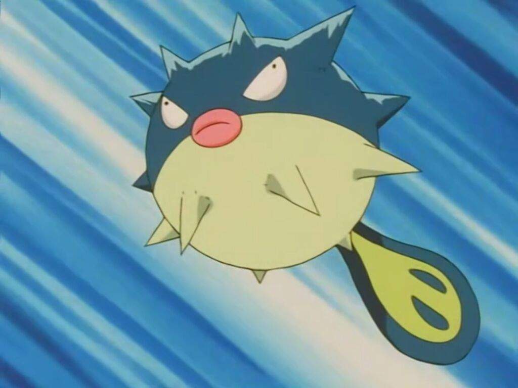 Qwilfish #211 | Pokémon Amino