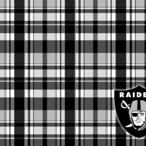 download Oakland Raiders Logo Wallpapers Group (55+)