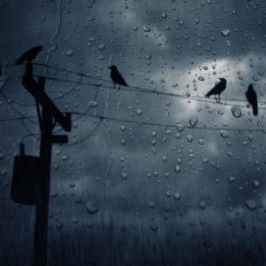 download Wallpapers For > Rain Wallpaper Hd For Mobile
