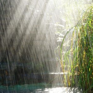download Beautiful Rain hd Wallpaper-1080p | HD Wallpapers|Nature Wallpapers