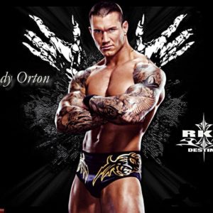 download Randy orton, Wallpapers and Hd wallpaper on Pinterest