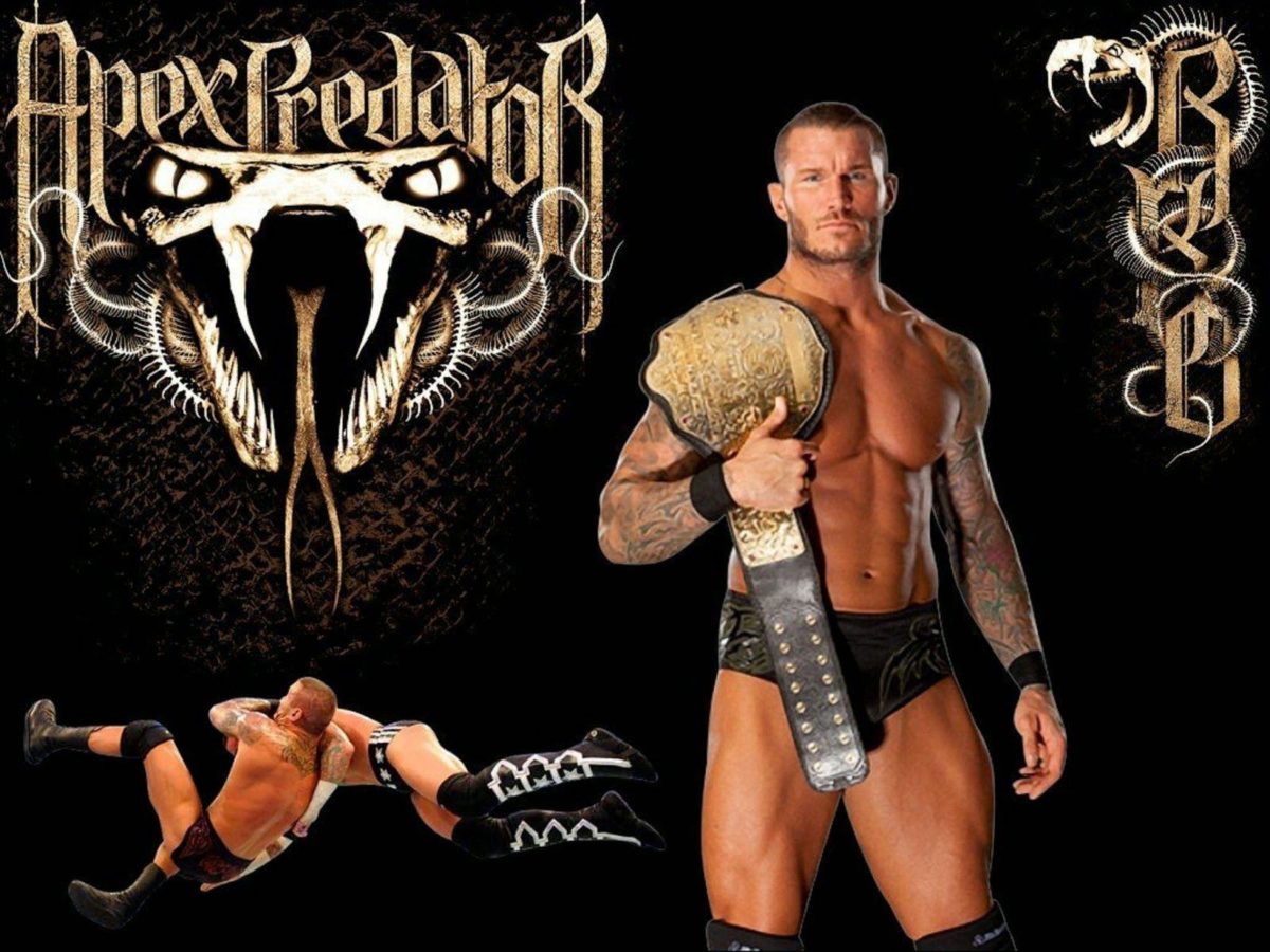 Randy Orton Wallpapers Free Download | HD Wallpapers, Backgrounds …