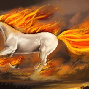download Unicorn wallpapers and images wallpapers pictures photos | HD …