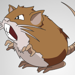 download 020 Raticate by scope66 on DeviantArt
