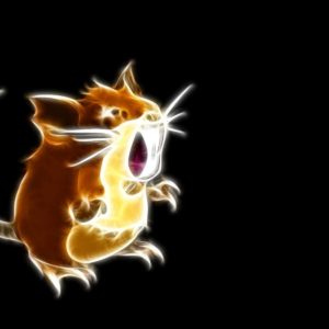 download Raticate – Pokemon – WallDevil
