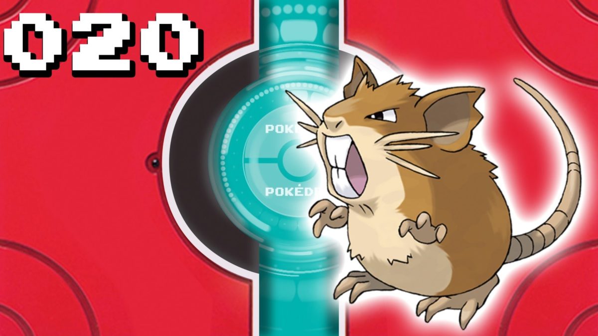 Pokémon Visual Pokedex (Kanto) – Raticate – 020 – YouTube