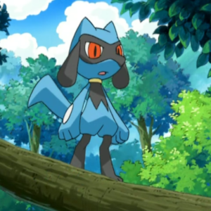 download Image – Riolu (anime).png | Pokémon Wiki | FANDOM powered by Wikia