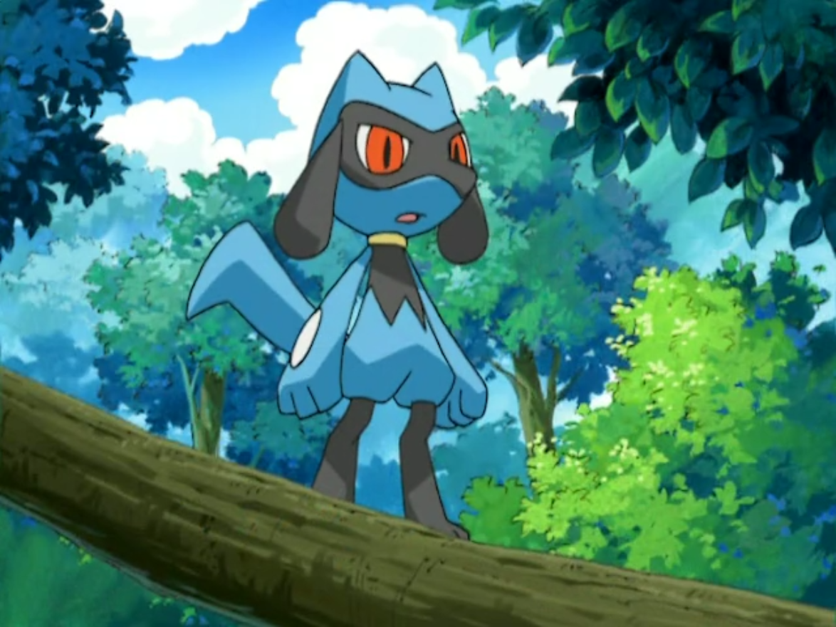 Image – Riolu (anime).png | Pokémon Wiki | FANDOM powered by Wikia