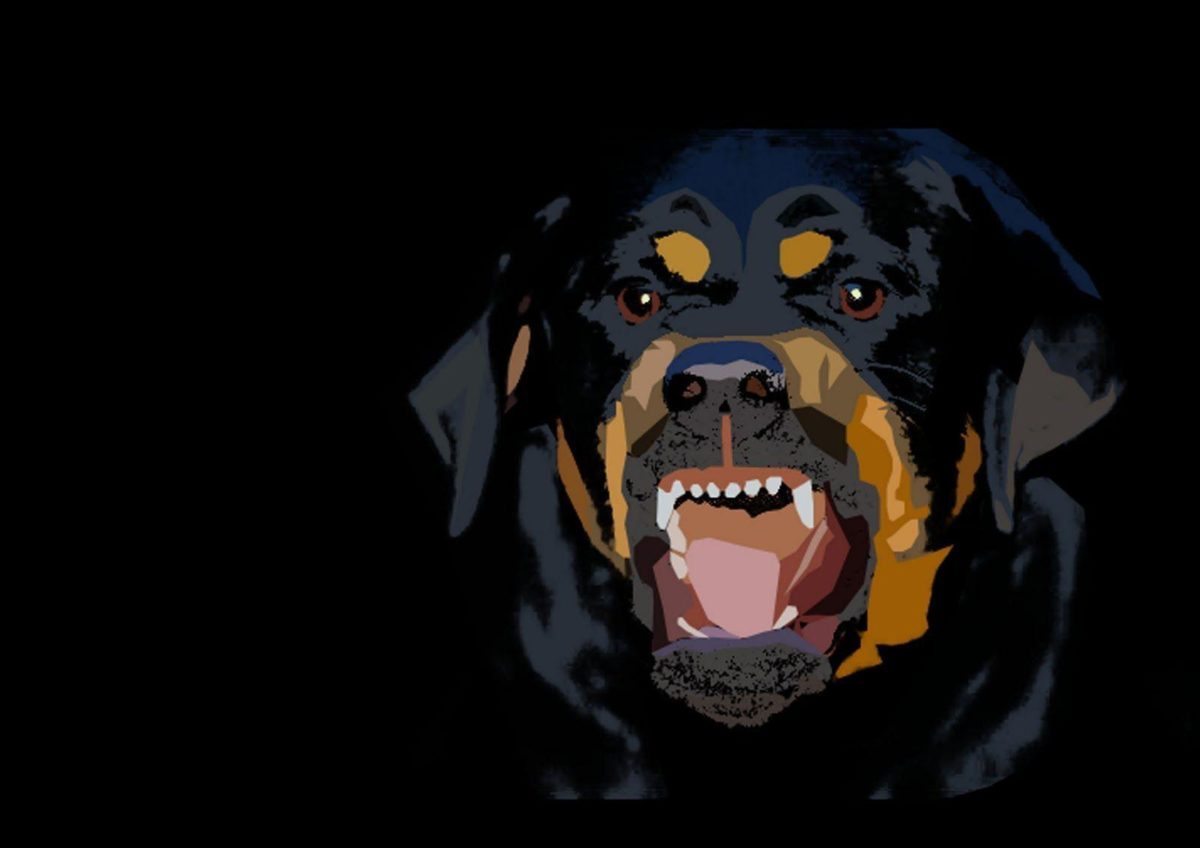 Wallpapers For > Givenchy Rottweiler Wallpaper