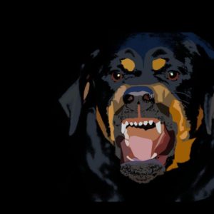 download Wallpapers For > Givenchy Rottweiler Wallpaper