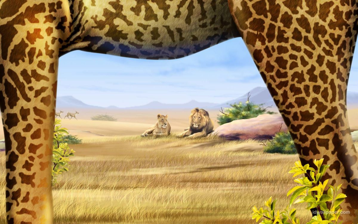 1 Safari Wallpapers | Safari Backgrounds