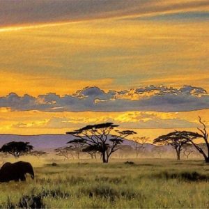 download African Safari Wallpaper yvt2 (1) by T-Douglas-Painting on DeviantArt