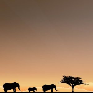 download Africa Safari Photos Normal 4:3 1400×1050