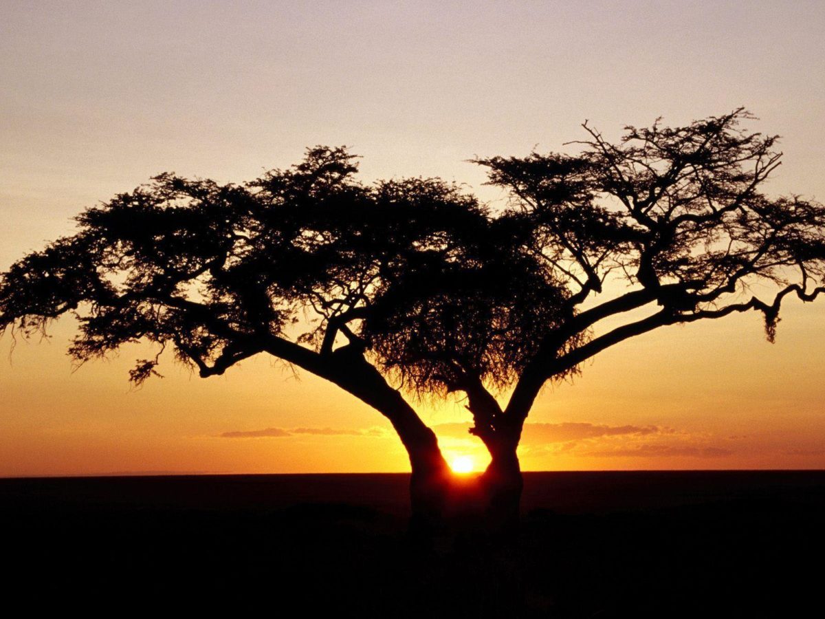 HD Wallpapers: 1600×1200 » Nature » Safari Sunrise, Africa Free …