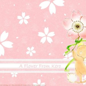download A flower from Kero – Cardcaptor Sakura Wallpaper (5022194) – Fanpop