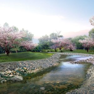 download Beautiful Sakura Flower Wallpaper 15323