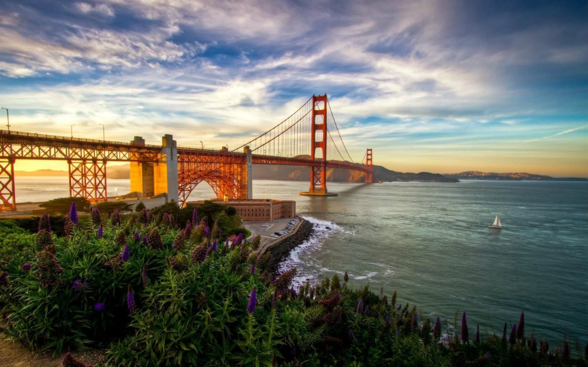 Daily Wallpaper: Summer in San Francisco | I Like To Waste My Time