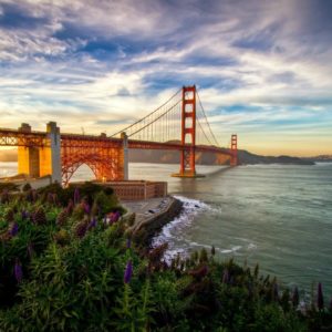 download Daily Wallpaper: Summer in San Francisco | I Like To Waste My Time
