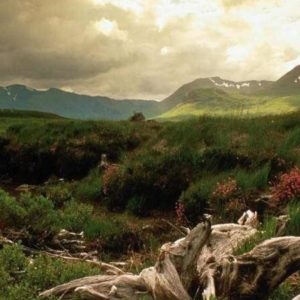 download Scotland Wallpaper 07 – HD Wallpaper, Wallpaper Pics – The Best …