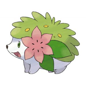 download Shaymin images Shaymin HD wallpaper and background photos (11079115)