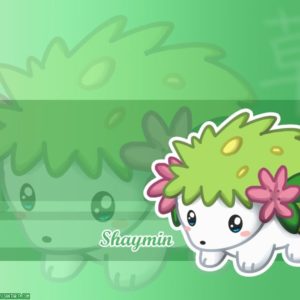 download Wide HDQ Shaymin Wallpapers (Shaymin Wallpapers, 47), Top4Themes Pack IX
