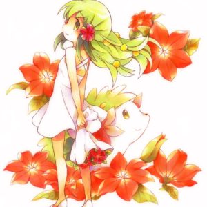 download Shaymin – Pokémon – Zerochan Anime Image Board