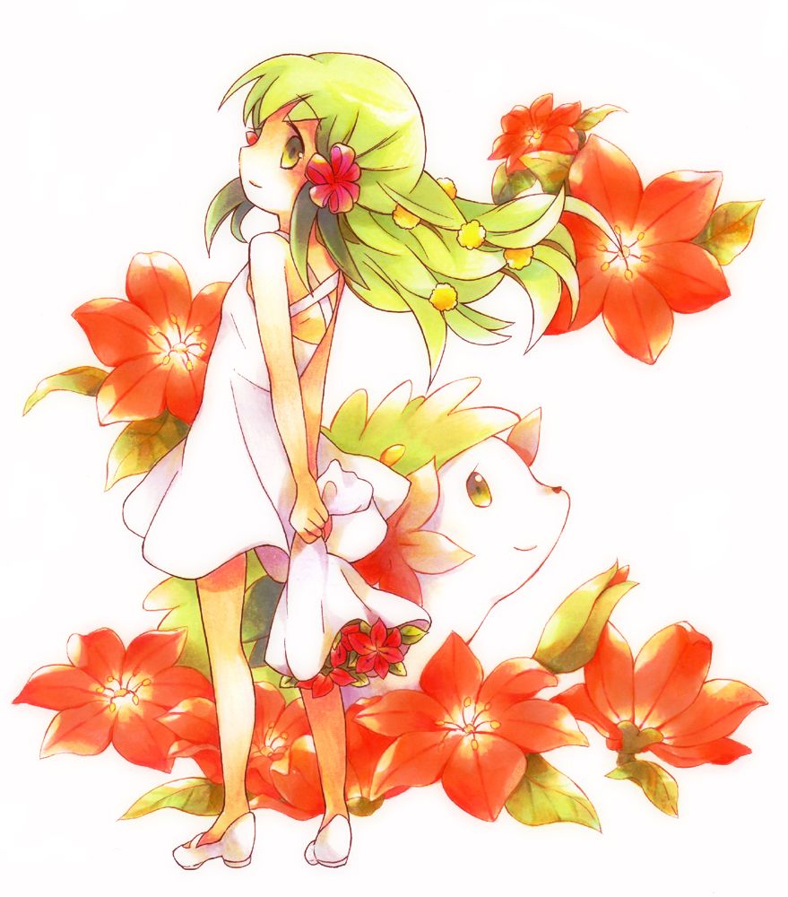 Shaymin – Pokémon – Zerochan Anime Image Board
