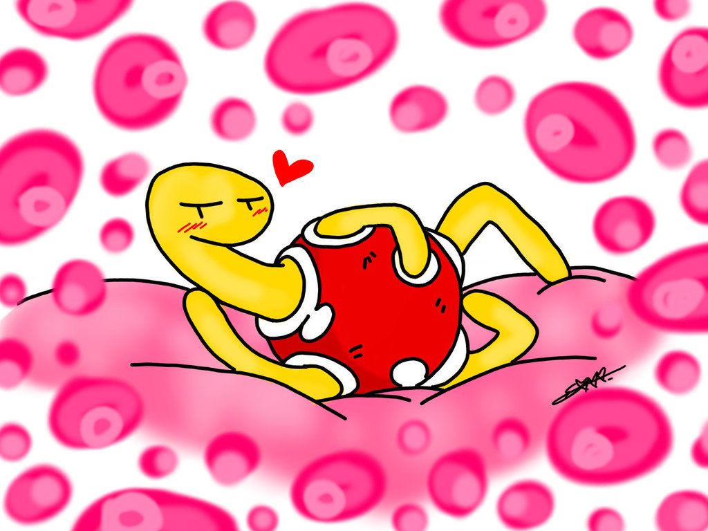 A wild and sexy Shuckle appeared! by HimeHoshi13 on DeviantArt