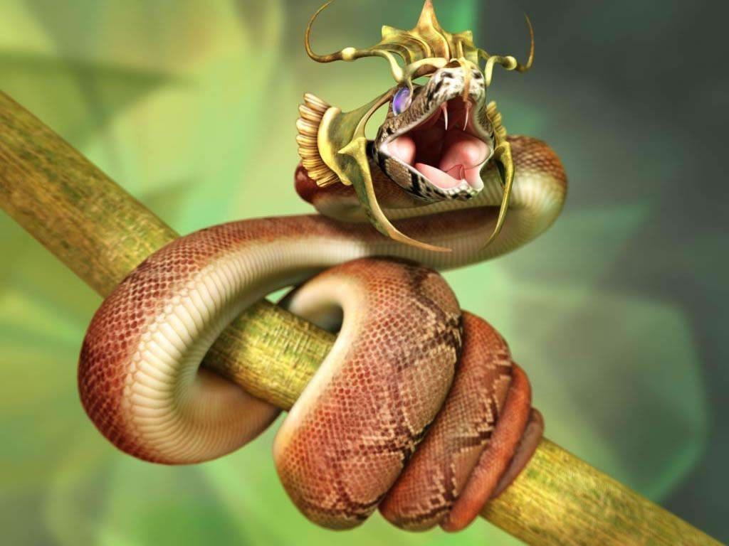 King Cobra Of Snake Wallpaper HD #7553 Wallpaper | High Resolution …