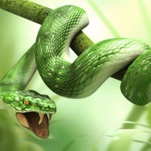 download Green 3d Snake HD Wallpapers – HD Wallpapers Inn
