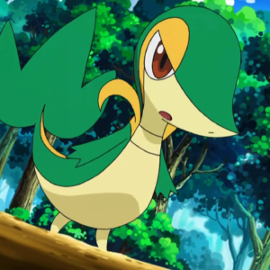 download Snivy images Snivy HD wallpaper and background photos (25486021)