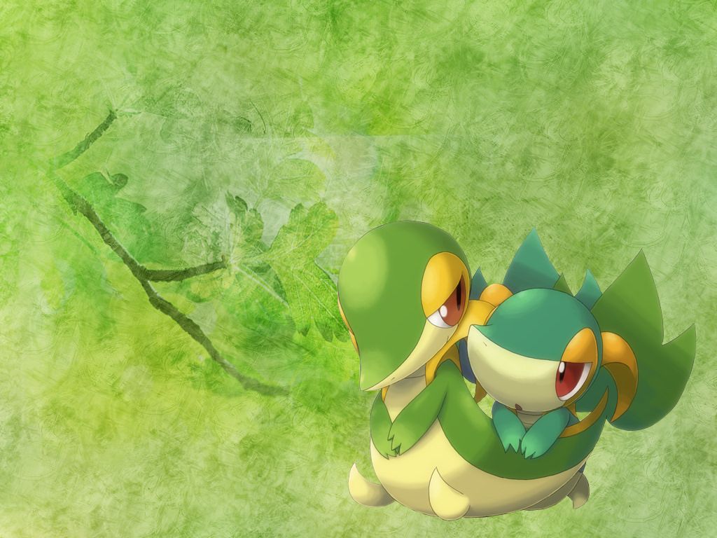 Images of Snivy Wallpaper – #SpaceHero