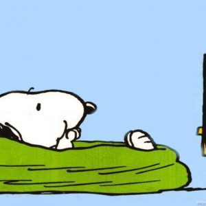 download Snoopy wallpaper – Snoopy Wallpaper (33124428) – Fanpop