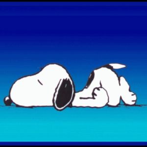 download Snoopy wallpaper – Snoopy Wallpaper (33124443) – Fanpop