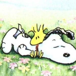 download Snoopy wallpaper – Snoopy Wallpaper (33124728) – Fanpop