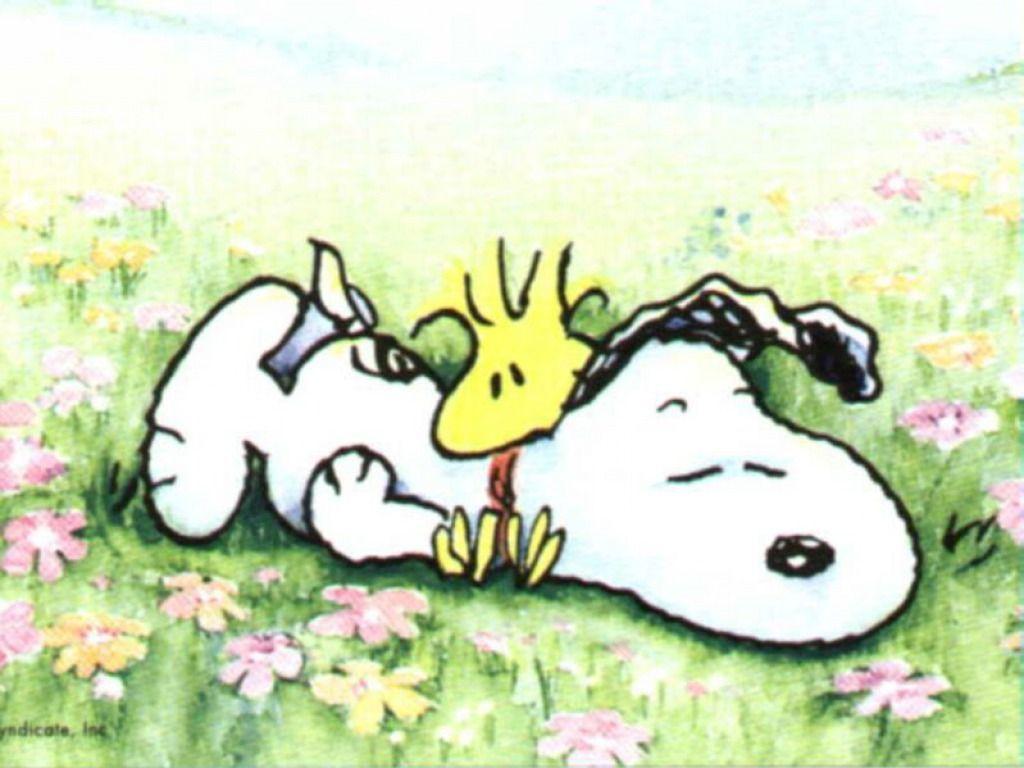Snoopy wallpaper – Snoopy Wallpaper (33124728) – Fanpop