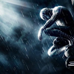 download Wallpapers For > Spider Man 3d Wallpaper Hd