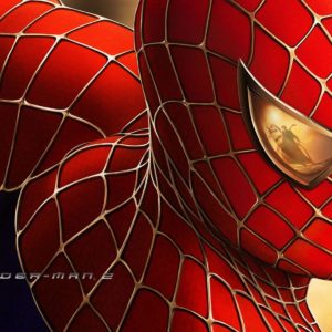 download Wallpapers For > Spiderman Hd Wallpaper