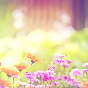 download 45+ Most Wanted Beautiful Spring Wallpapers | Stylonica