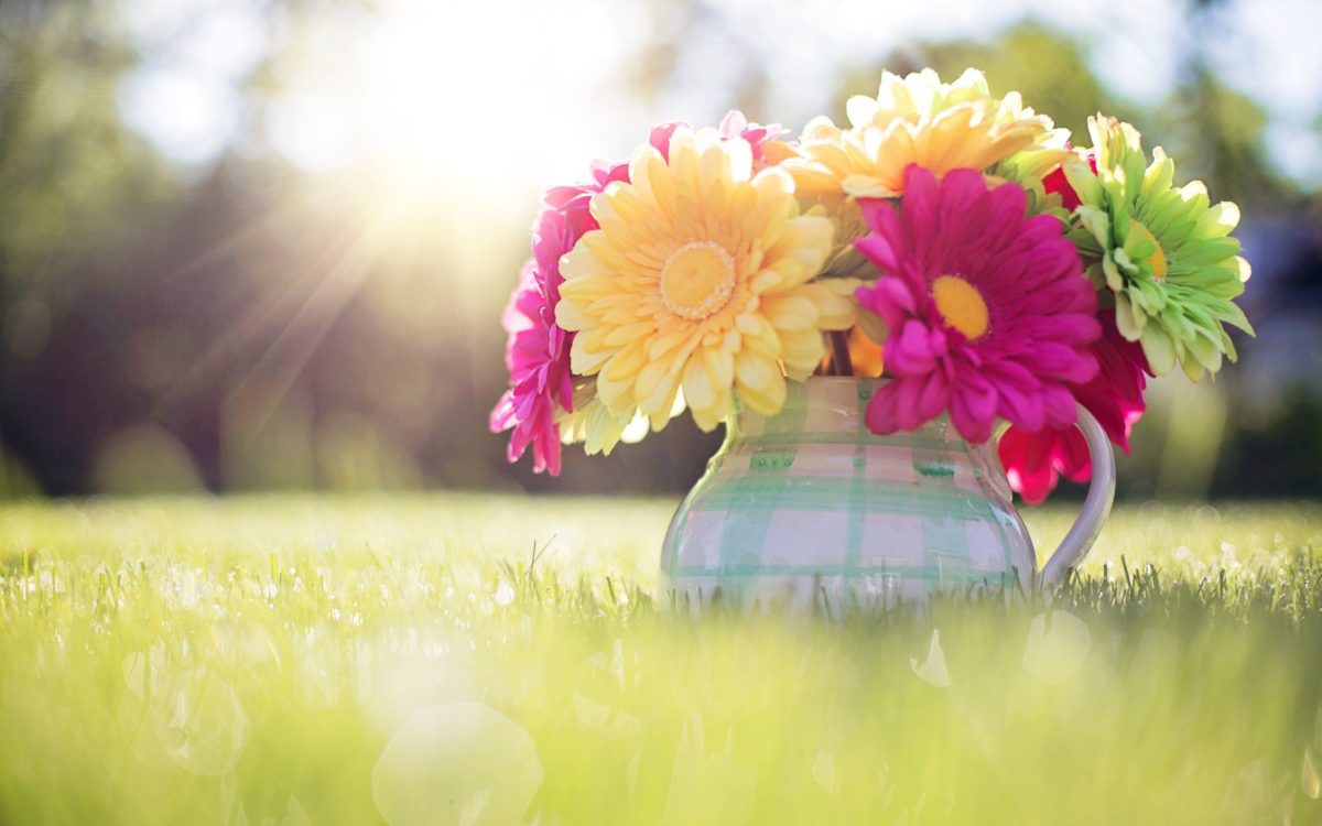 Spring Wallpapers Download Group (87+)