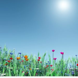 download Free Spring Wallpaper 7B5 | Image Colony