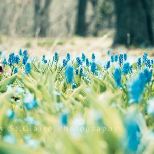 download Spring Wallpapers Download Group (87+)