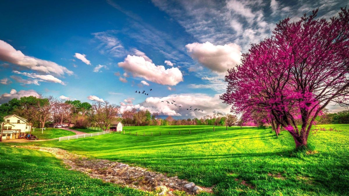 beautiful-spring-scenery-wallpapers-hd-1080p-1920×1080-desktop-03.jpg