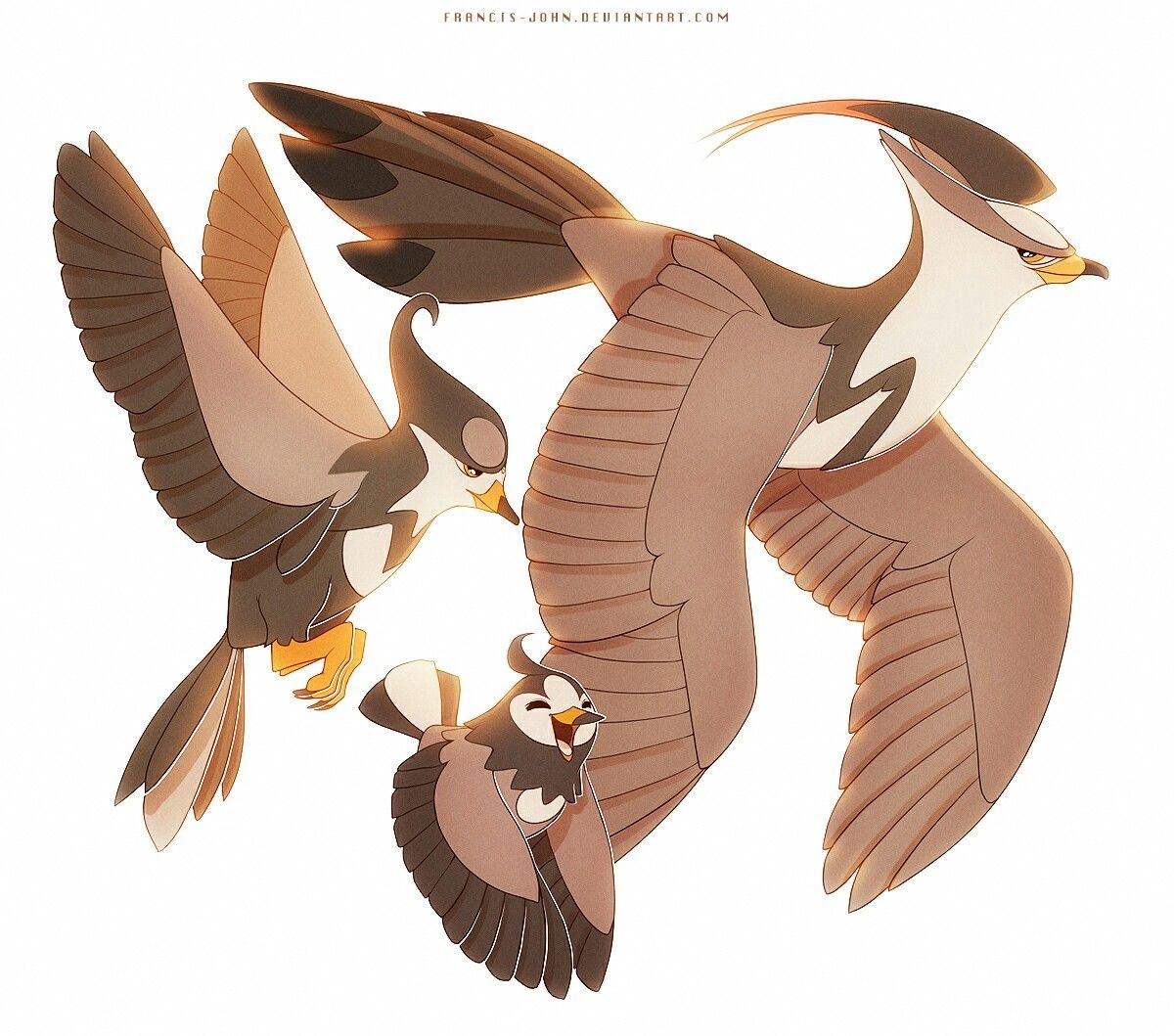 Starly, Staravia, and Staraptor | An Entire Board Full of Starly …